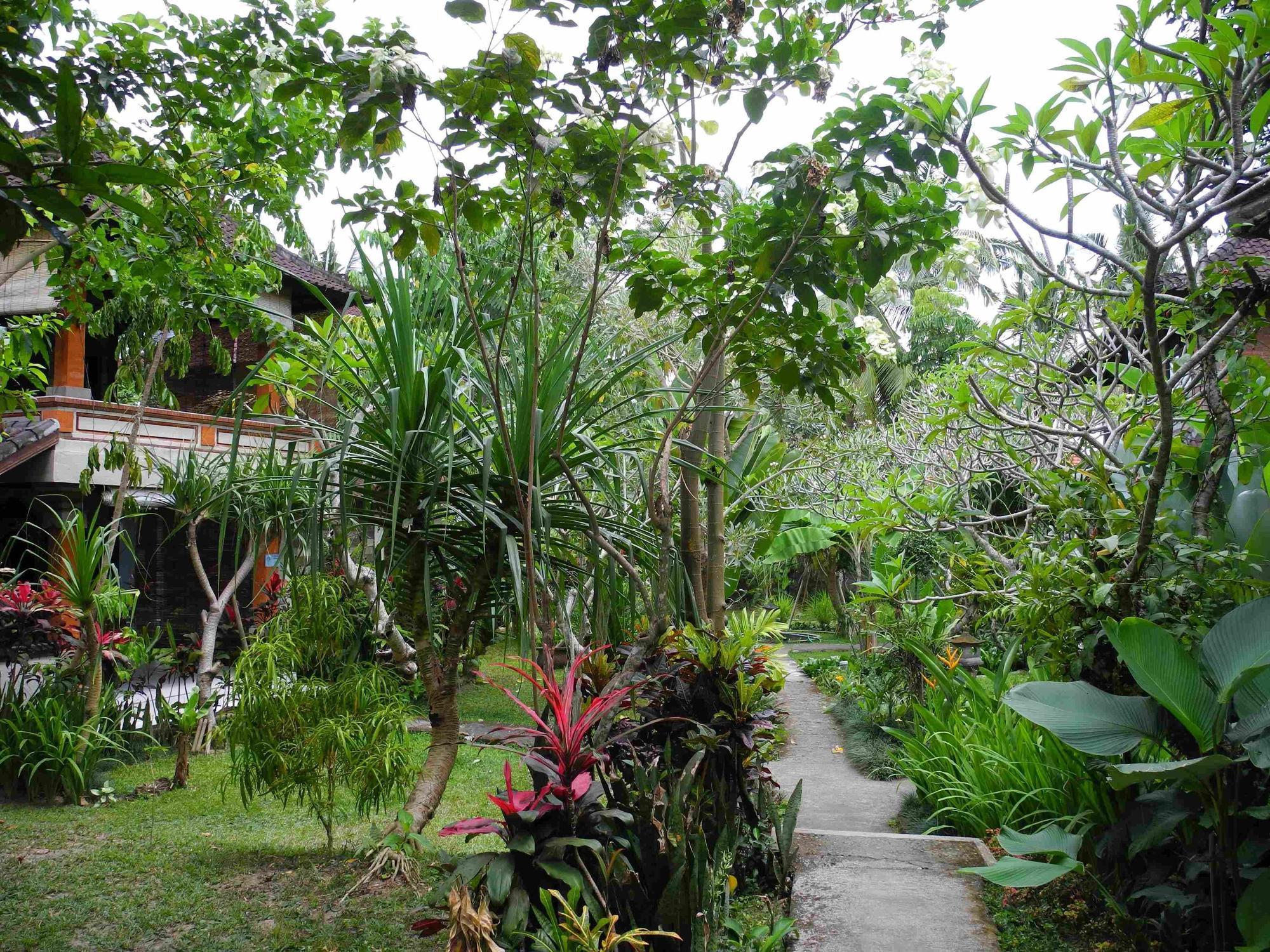 Recep Bungalow Ubud Buitenkant foto